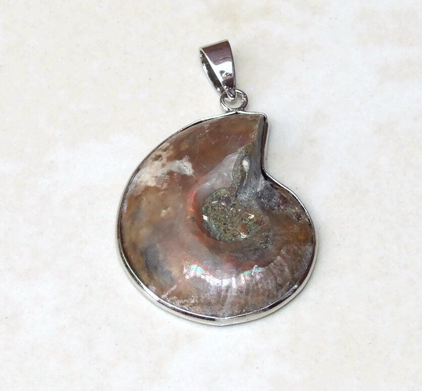 Ammonite Pendant, Fossil Pendant, Shell Pendant, Gemstone Pendant, Ammonite Slice, Nautilus Fossil, Silver Bezel & Bail, 35mm x 43mm, 9407