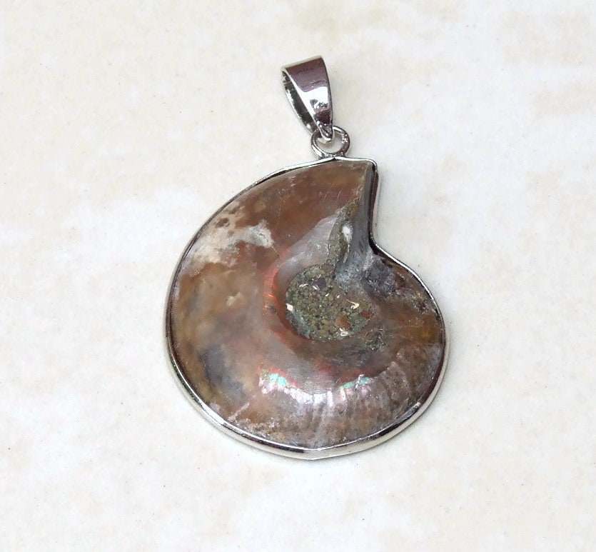 Ammonite Pendant, Fossil Pendant, Shell Pendant, Gemstone Pendant, Ammonite Slice, Nautilus Fossil, Silver Bezel & Bail, 31mm x 37mm, 9401