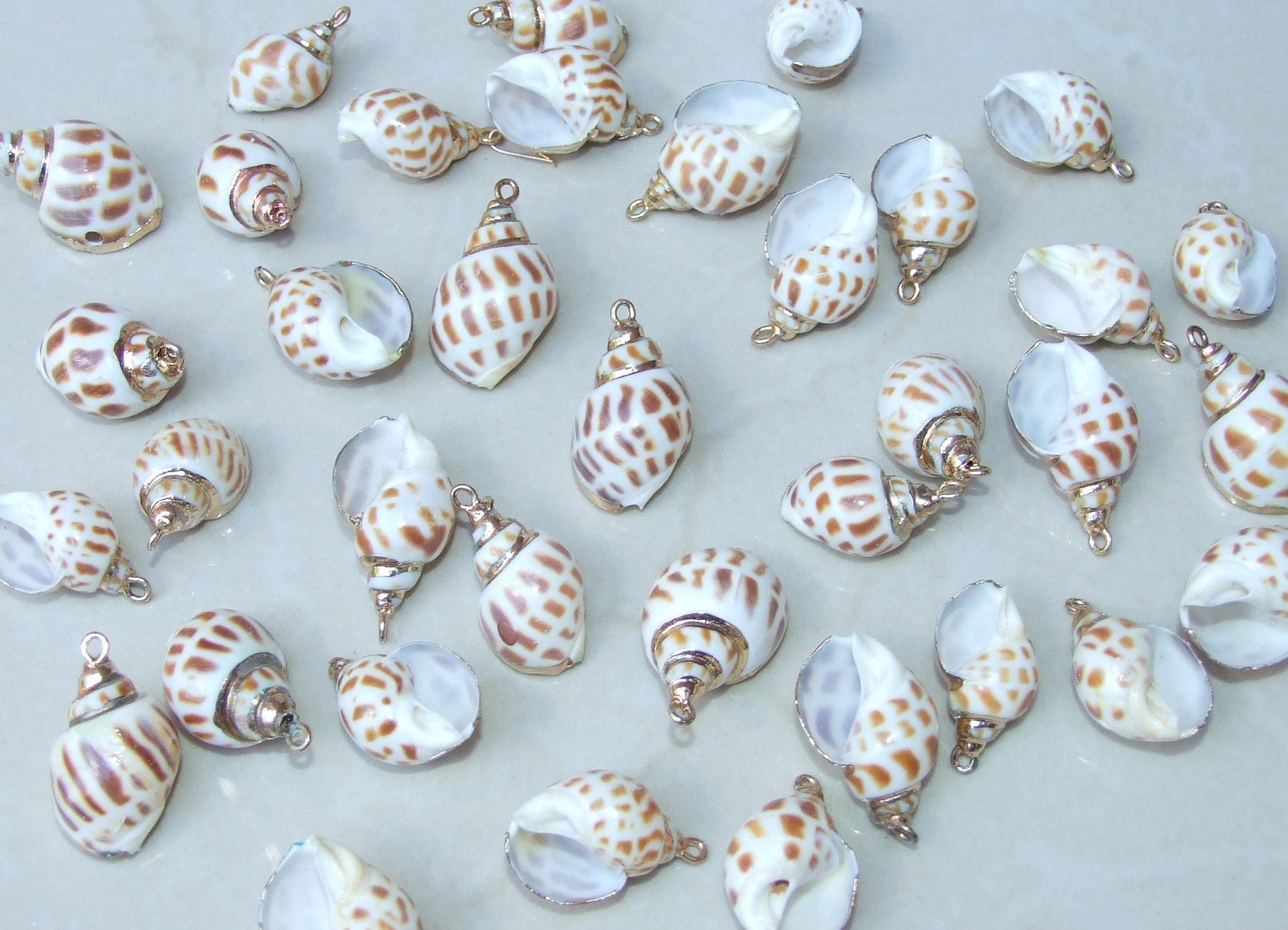 Natural Babylonia Areolata Spiral SeaShell Pendant, Shell Bead, Seashell, Shell Pendant, Gold Edge, Natural Shell, Boho, Beach, 25mm - 35mm