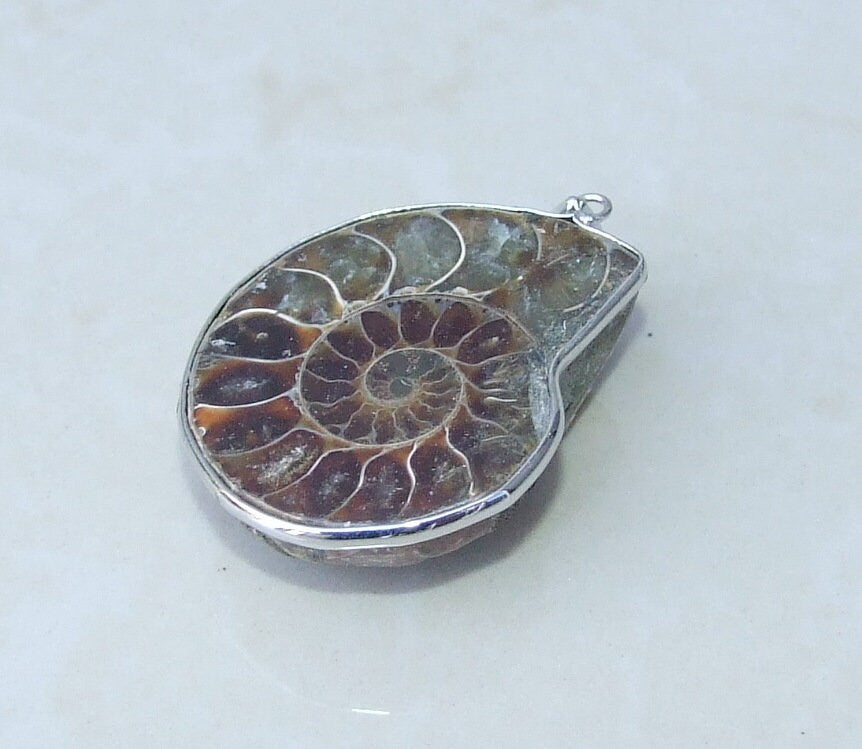 Ammonite Pendant, Fossil Pendant, Shell Pendant, Gemstone Pendant, Ammonite Slice, Nautilus Fossil, Silver Bezel & Bail, 32mm x 39mm, 8167