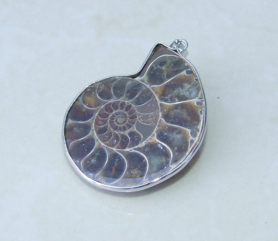 Ammonite Pendant, Fossil Pendant, Shell Pendant, Gemstone Pendant, Ammonite Slice, Nautilus Fossil, Silver Bezel & Bail, 35mm x 40mm, 8168