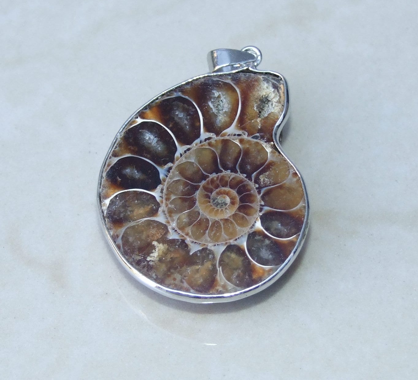 Ammonite Pendant, Fossil Pendant, Shell Pendant, Gemstone Pendant, Ammonite Slice, Nautilus Fossil, Silver Bezel & Bail, 30mm x 37mm, 9397