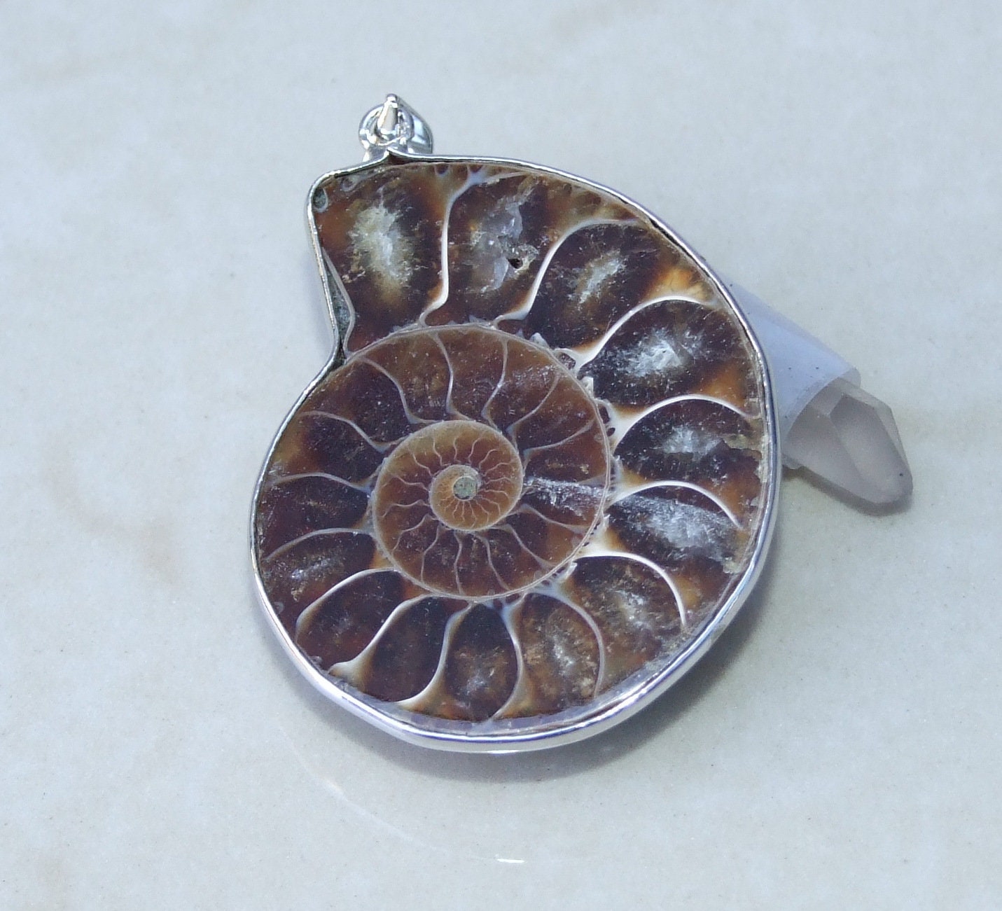 Ammonite Pendant, Fossil Pendant, Shell Pendant, Gemstone Pendant, Ammonite Slice, Nautilus Fossil, Silver Bezel & Bail, 32mm x 40mm, 9402