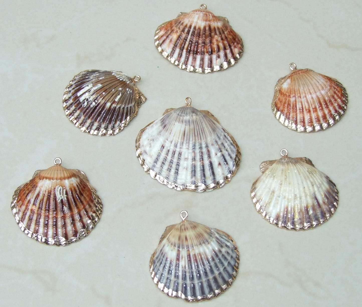 Natural Scallop Shell Pendant, Gold Edge Loop, Natural Seashell, Deep Sea Shell, Shell Necklace, Beach Jewelry, Ocean Seashell, 37-48mm NB