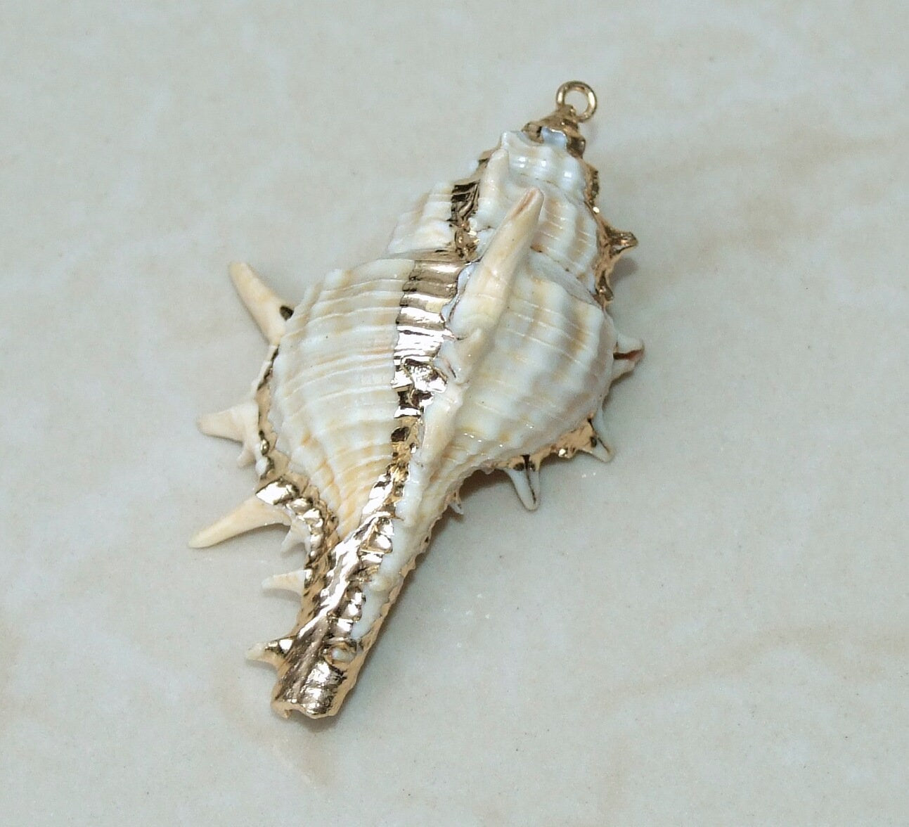 Natural Murex Turnispina Seashell Pendant, Gold Edge, Spiral Shell Bead, Display Shell, Jewelry Shell, Conch Shell, Beach Decor, 50-70mm