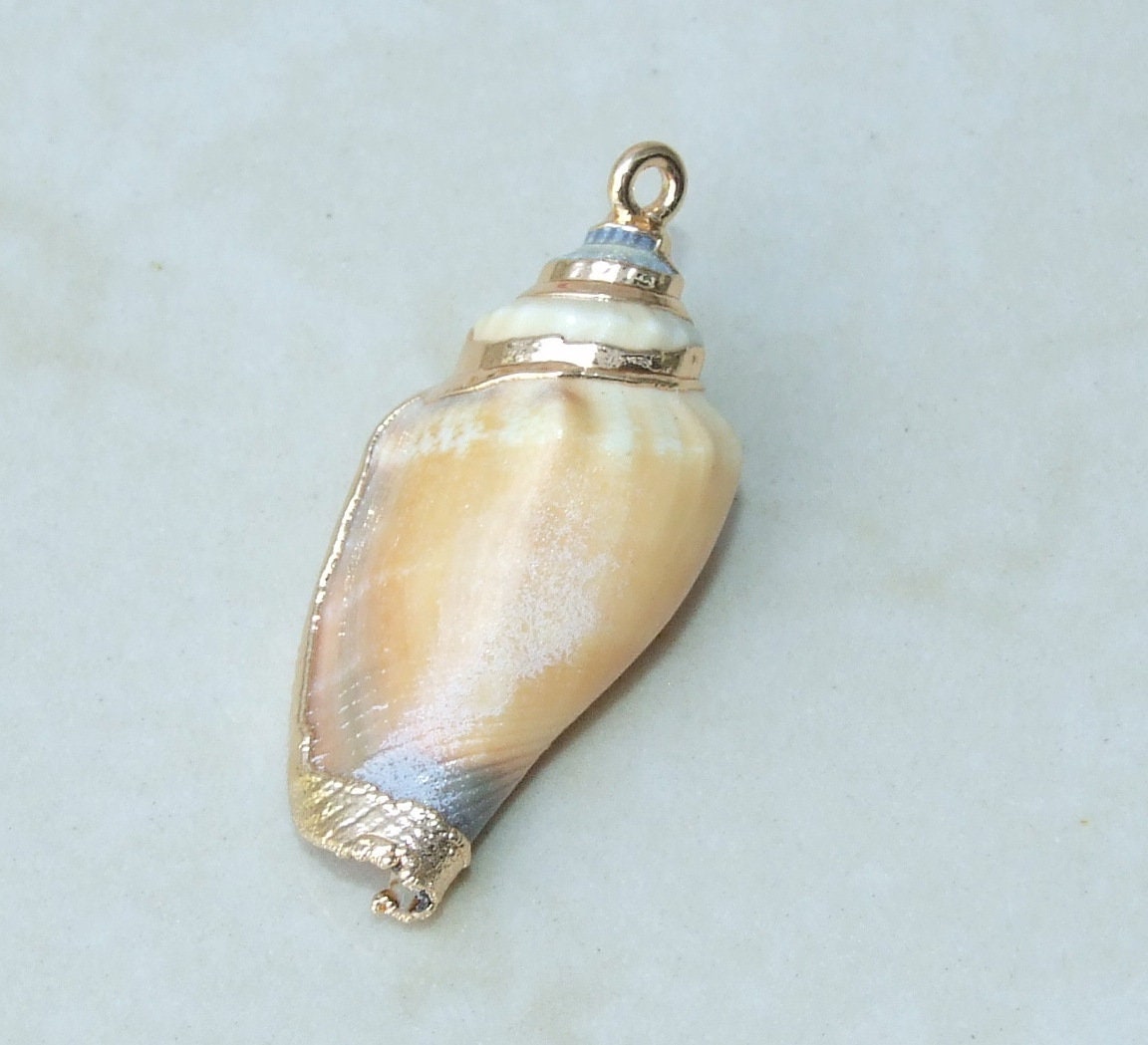 Gold Edge Natural Spiral Sea Shell Pendant, Spiral Shell Bead, Seashell Pendant, Cone Shell, Conch Shell, Beach, Ocean, Summer, Small/Large