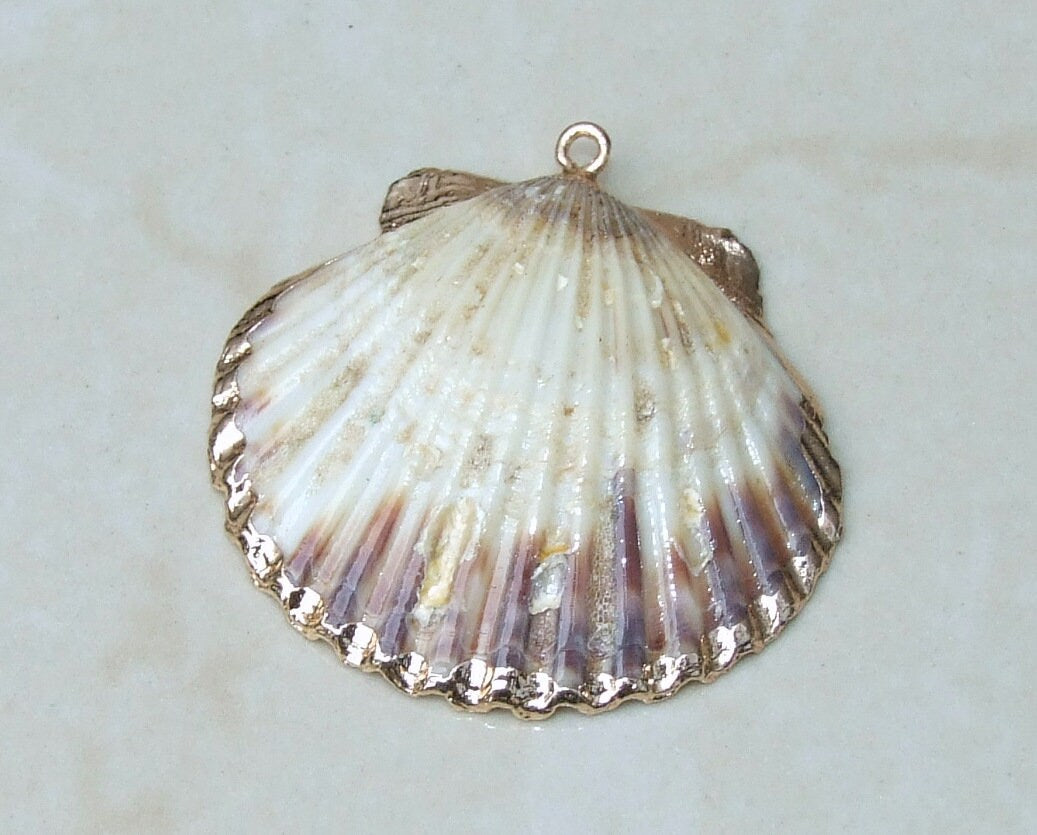 Natural Scallop Shell Pendant, Gold Edge Loop, Natural Seashell, Deep Sea Shell, Shell Necklace, Beach Jewelry, Ocean Seashell, 37-48mm NB