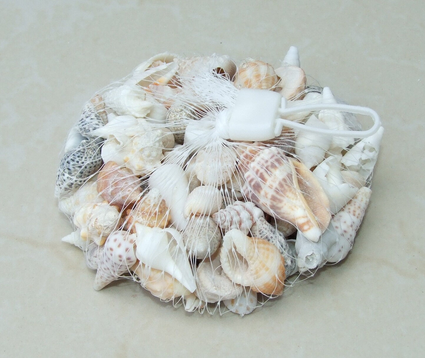 Net Full of Shells, Mixed Natural Seashells, Spiral Shells, Clam Shells, Scallop Shells, Undrilled Craft Shells, 80-100 Shells, 15-40+mm 015