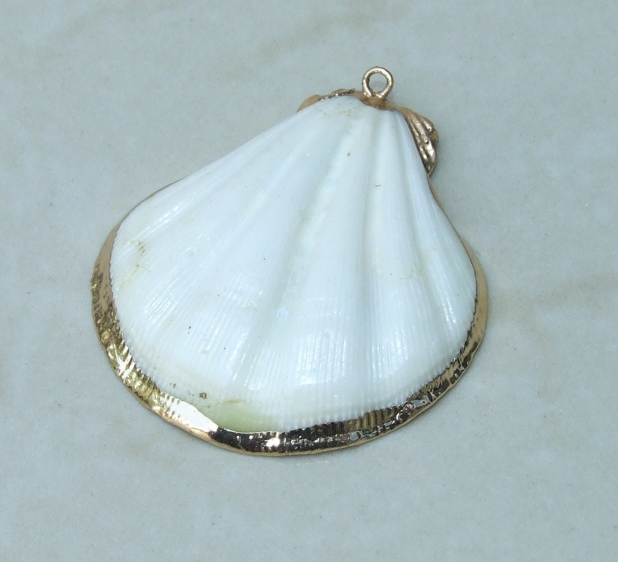 Natural Scallop Shell Pendant, Gold Edge Loop, Natural Seashell, Deep Sea Shell, Shell Necklace, Beach Jewelry, Ocean Seashell, 34-44mm W01