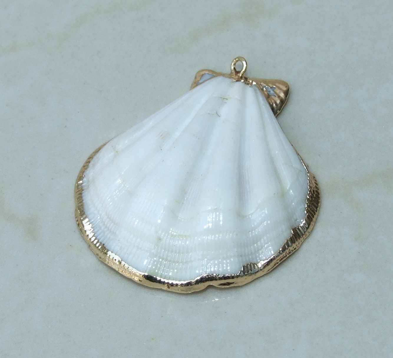 Natural Scallop Shell Pendant, Gold Edge Loop, Natural Seashell, Deep Sea Shell, Shell Necklace, Beach Jewelry, Ocean Seashell, 34-44mm W01