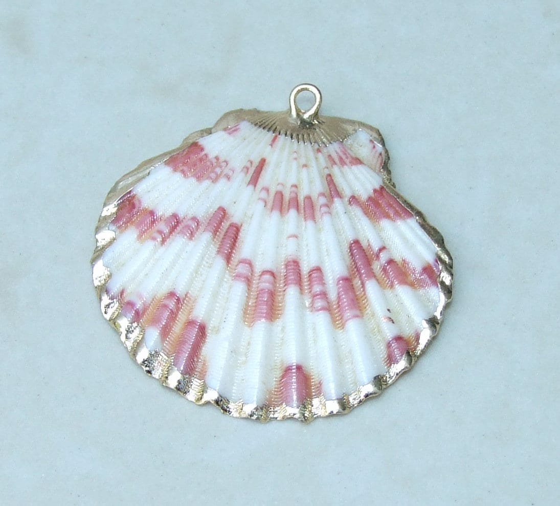 Natural Scallop Shell Pendant, Gold Edge Loop, Seashell Pendant, Seashell Necklace, Beach Jewelry, Ocean Seashell, 35mm, 45mm, 55mm 58-69