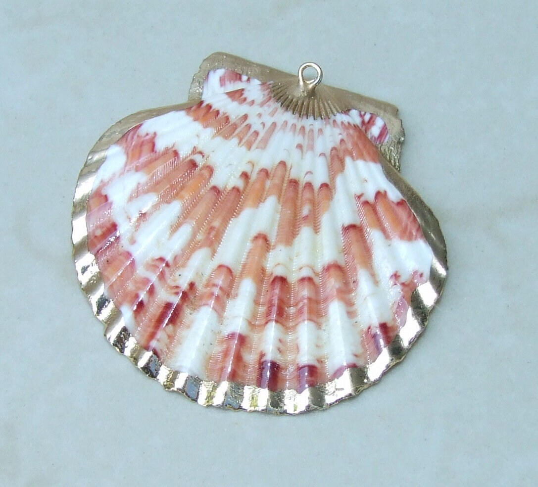 Natural Scallop Shell Pendant, Gold Edge Loop, Natural Seashell, Deep Sea, Shell Necklace, Beach Jewelry, Ocean Seashell, 48mm x 48mm, 191