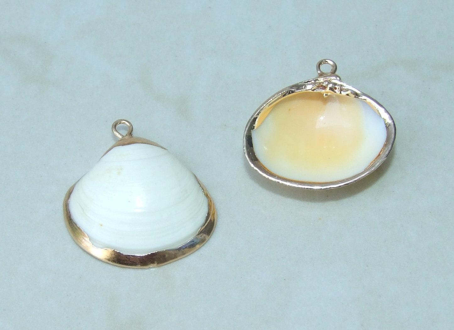 Pair of Small Clam Shell Pendant, Gold Edge Loop, Natural Seashell, Seashell Necklace, Beach Jewelry, Ocean Seashell, 25mm x 25mm, 09-01