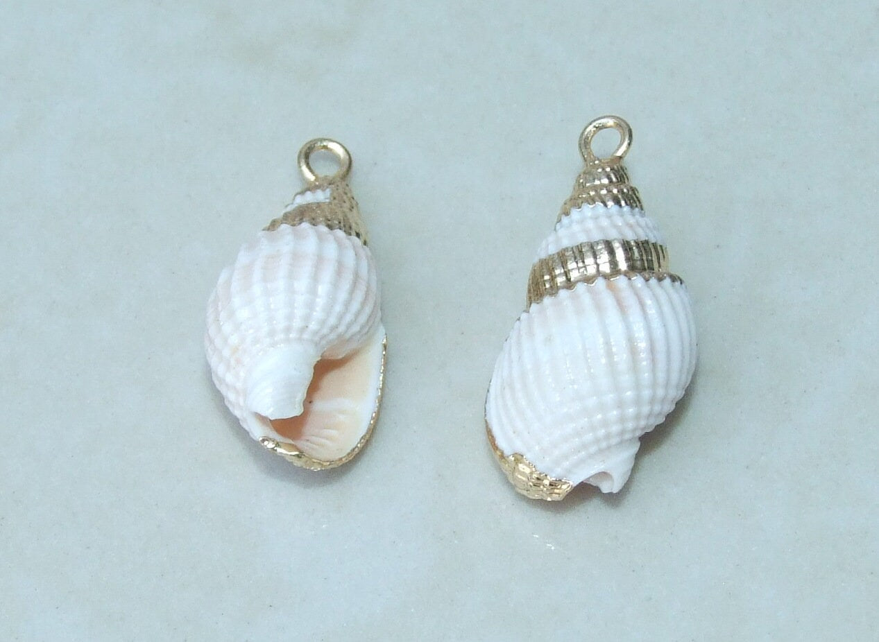 Pair Small Natural Gold Edge Seashell Pendants, Spiral Shell Bead, Seashell Pendant, Ocean Shell Jewelry, Conch Shell, 20-25mm, 09-23
