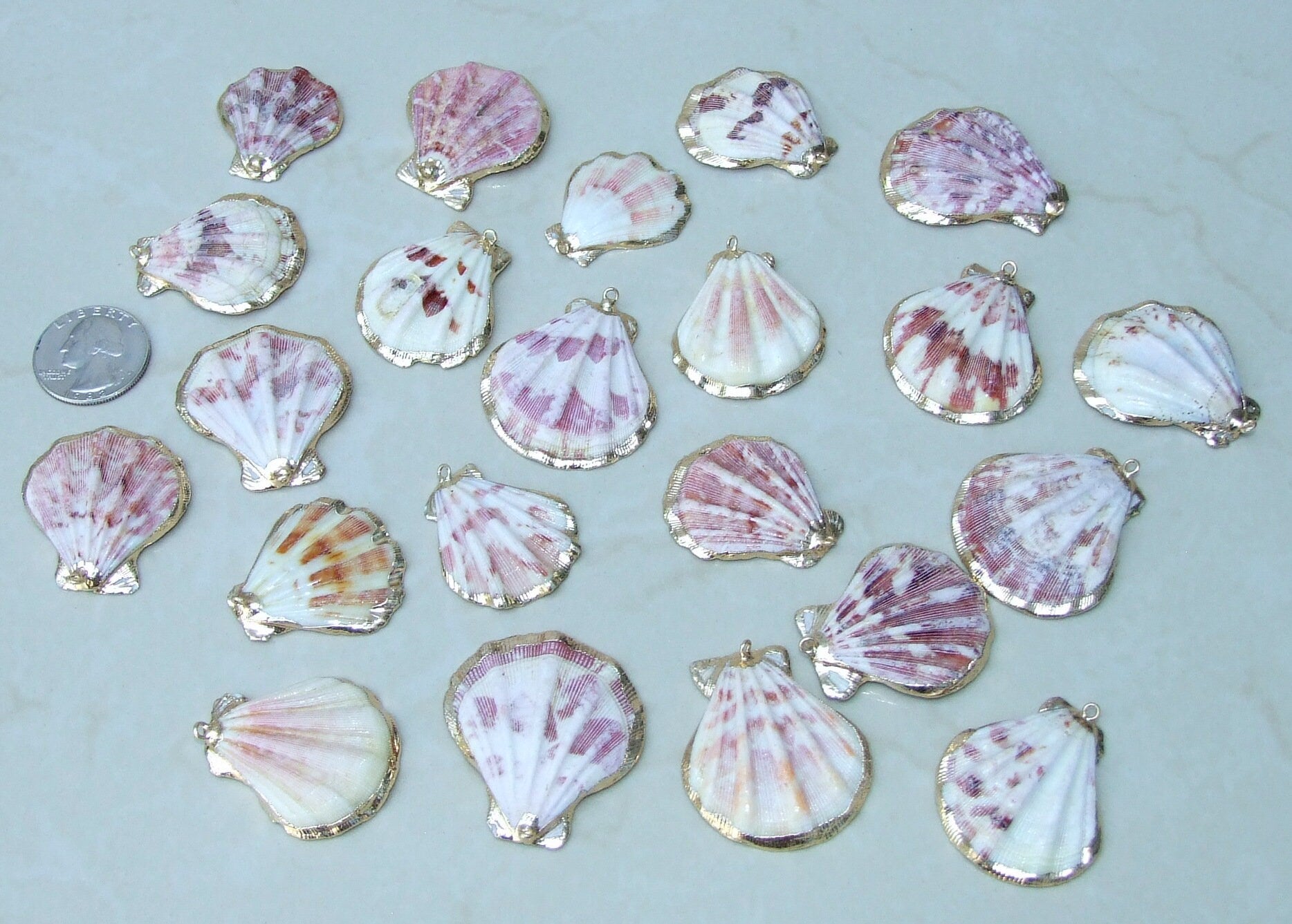 Natural Scallop Shell Pendant, Gold Edge Loop, Natural Seashell, Deep Sea, Shell Necklace, Beach Jewelry, Ocean Seashell, 30-40mm, 75-01