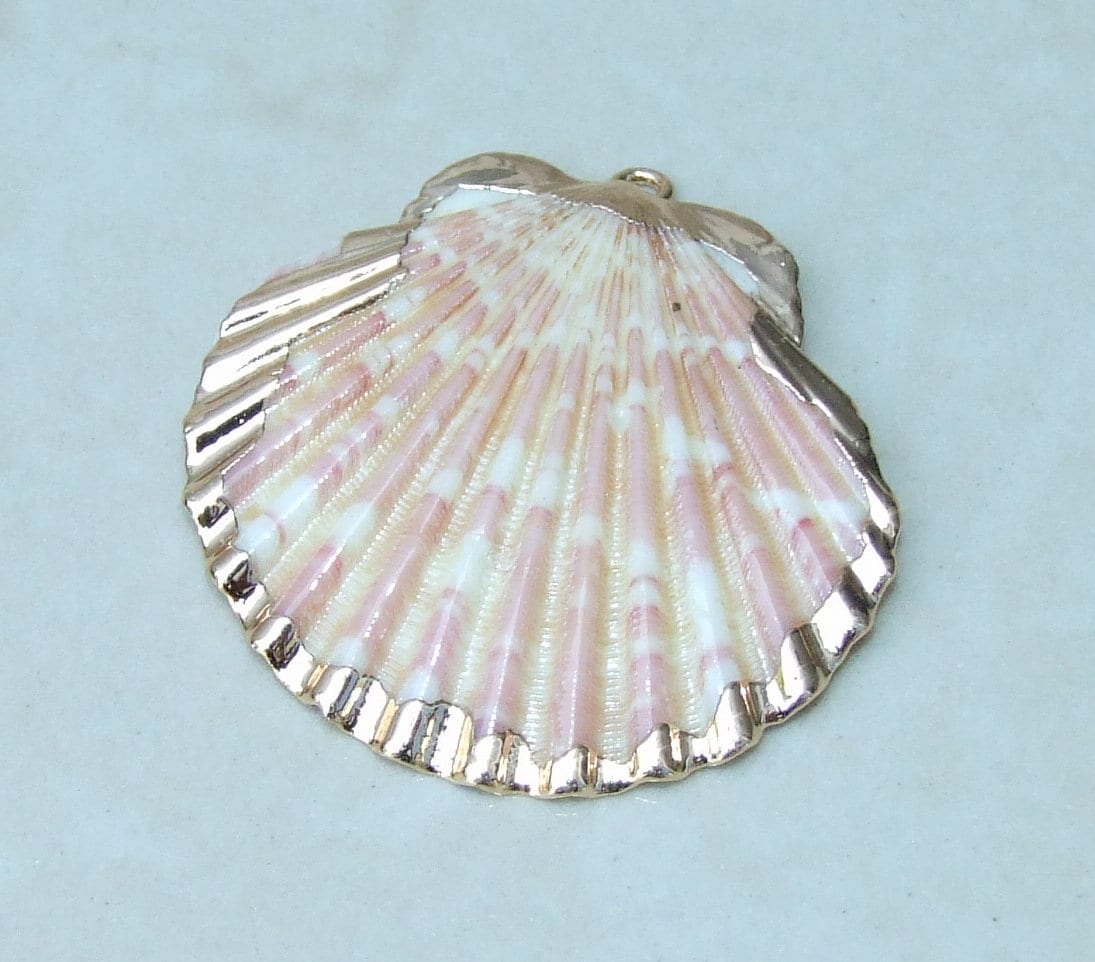 Natural Scallop Shell Pendant, Gold Edge Loop, Seashell Pendant, Seashell Necklace, Beach Jewelry, Ocean Seashell, 35mm, 45mm, 55mm 58-69