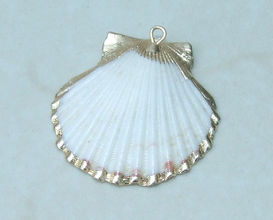 Natural Scallop Shell Pendant, Gold Edge Loop, Seashell Pendant, Seashell Necklace, Beach Jewelry, Ocean Seashell, 35mm, 45mm, 55mm 62-32