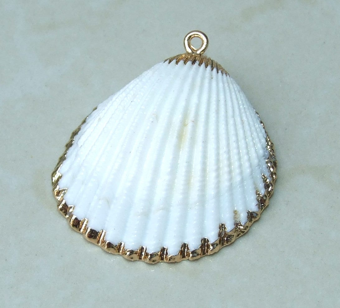 Natural Sea Shell Pendant, Seashell Bead, Shell Pendant, Charm, Clam Shell, Shell Jewelry, Beach Jewelry, White and Gold - 35-40mm - 61-05