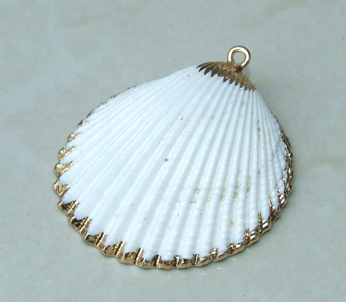 Beautiful Brown Hand Painted Natural Scallop Seashell Pendant – EDG Beads  and Gems