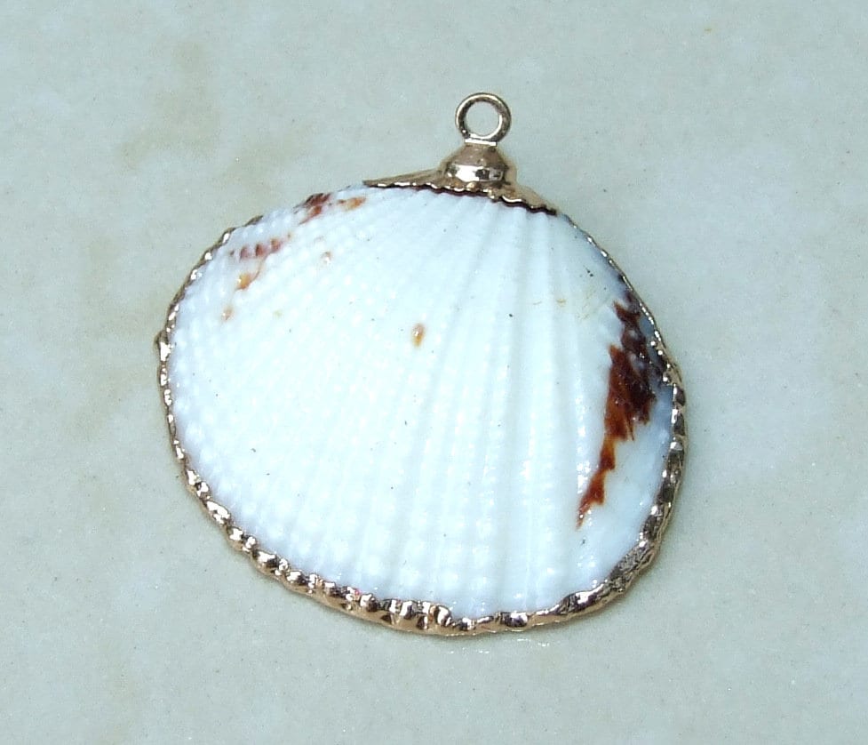 Natural Clam Shell Pendant, Gold Edge Loop, Natural Seashell, Deep Sea Shell, Shell Necklace, Beach Jewelry, Ocean Seashell, 25-33mm 6-04