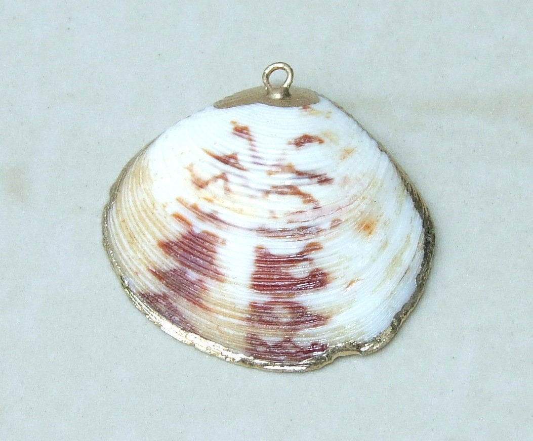 Natural Clam Shell Pendant, Gold Edge Loop, Natural Seashell, Deep Sea Shell, Shell Necklace, Beach Jewelry, Ocean Seashell, 25-33mm 2-30