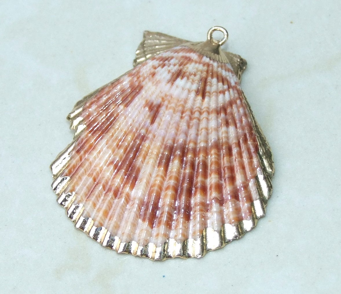 Hand Painted Scallop Shell Pendant, Gold Edge Loop, Natural Seashell, Seashell Necklace, Beach Jewelry, Ocean Seashell, 45mm, 55mm 62-31