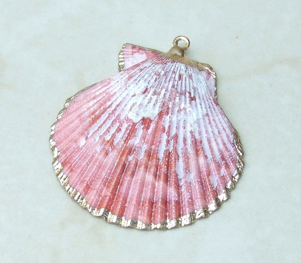 Hand Painted Scallop Shell Pendant, Gold Edge Loop, Natural Seashell, Seashell Necklace, Beach Jewelry, Ocean Seashell, 45mm, 55mm 62-31